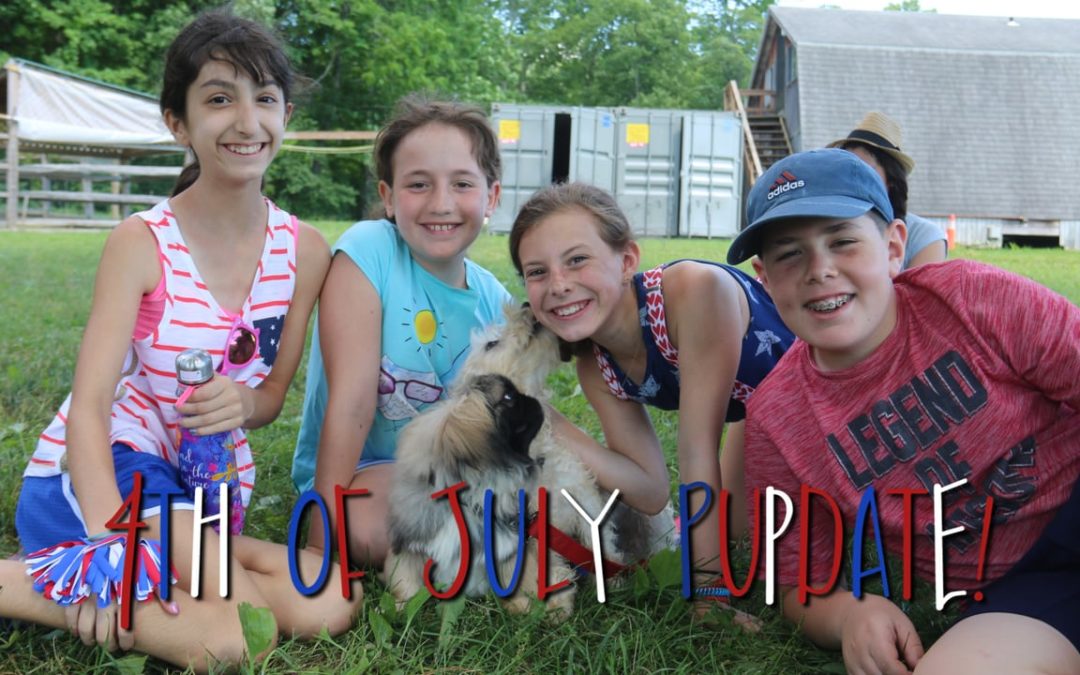 Pupdate Week 2: Fourth of July!